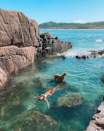 Foto da Praia do Rosa